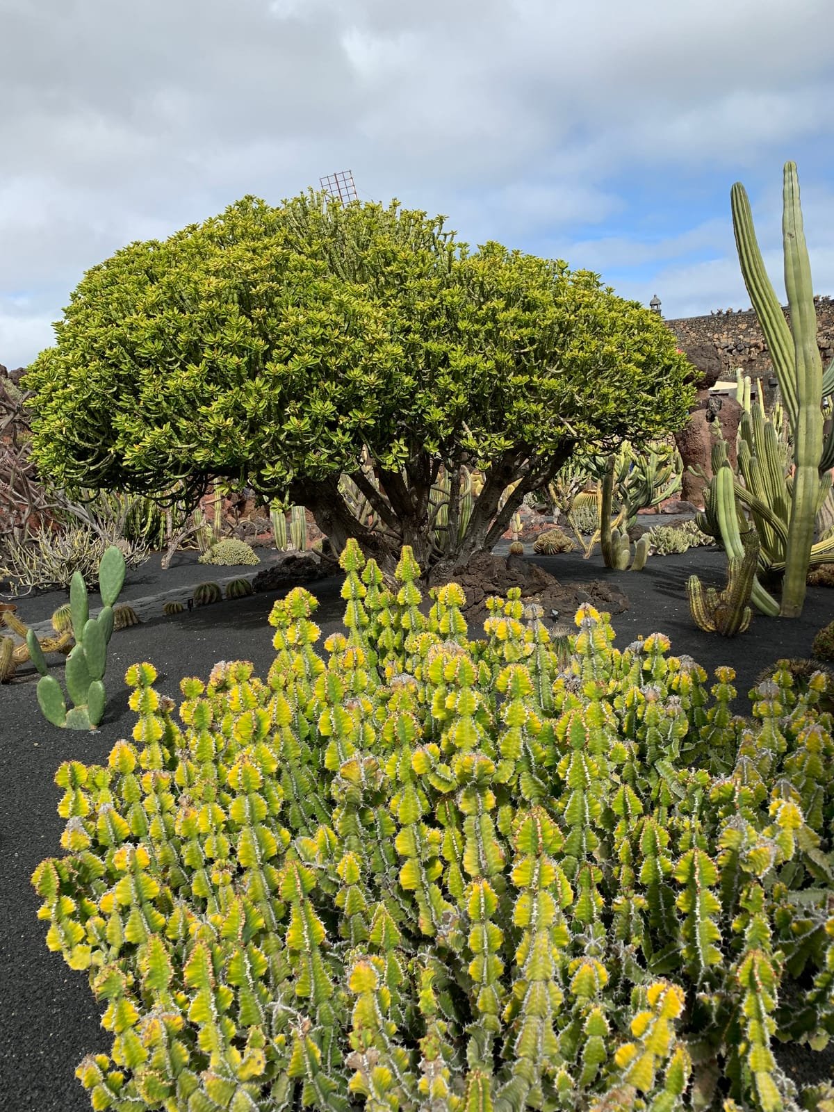 Lanzarote